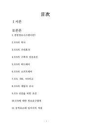경영정보 시스템
