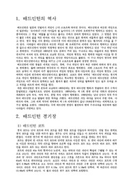 배드민턴에 대해