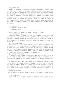 Piaget의 인지 발달