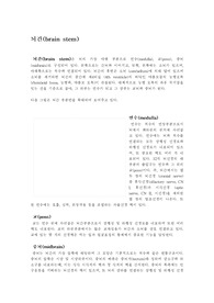 뇌의 구조
