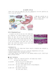 [생물]동물의 조직