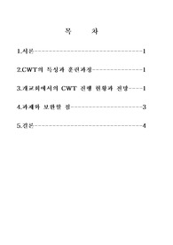 CWT 연쇄전도