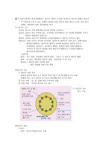 줄기와 뿌리