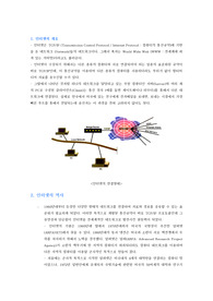 [인터넷] 인터넷의 이해