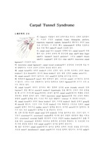 [해부학] Carpal Tunnel Syndrome