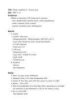 [생리학] Enzyme assay