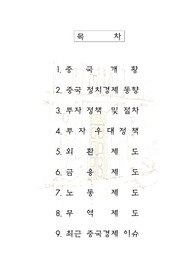 중국경제정책,이슈