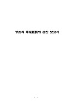 [한국사]         정조의 華城經營에 관한 보고서