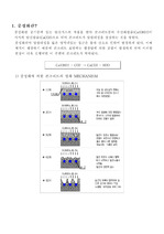 [건축시공] 콘크리트의 중성화