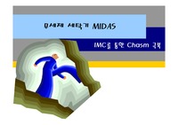 [마케팅 사례] IMC를 통한 캐즘(Chasm) 극복 (무세제 세탁기 MIDAS)