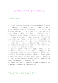 사이버 문학