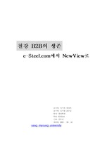 [경제경영] 철강 B2B의 생존-e-Steel.com에서 NewView로