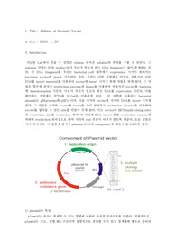 [분자생물학실험] Yeast DNA Ligation and Transformation