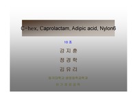 [석유화학공업] C-hex, Caprolactam, Adipic acid, Nylon6