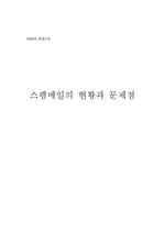 스팸메일의 현황과 문제점