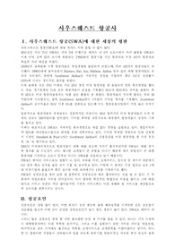 사우스웨스트 항공사의 발전전망과 향후과제