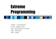 [소프트웨어공학] Extreme Programming