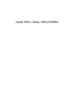 [경영] SOHO (Small Office Home Office)