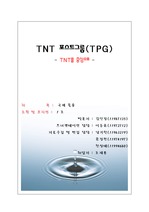 [국제물류] TNT 국제물류전략 Case Study