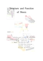 [기초공학] 신발의 구조와 기능 (영문)