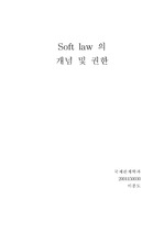 [국제법] soft law의 개념 및 권한