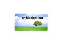 인터넷 마케팅(e-Marketing)과 성공적인 CRM