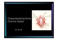 [수의 외과학] Ovariohysterectomy (Canine Spay)