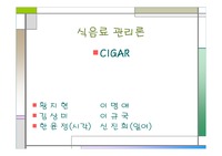 [담배] 시가 (CIGAR)