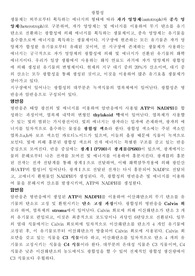 [생명과학] 광합성