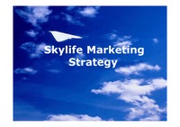 [마케팅] 스카이라이프 마케팅 전략