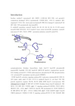 [생화학] NMR을 위한 단백질 정제