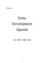 [국제경영]Doha Development Agenda (DDA : 도하 개발 아젠다 협상)