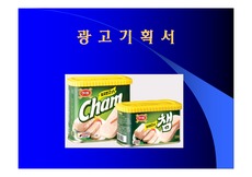 [광고경영론] 광고기획서(챔)