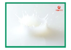 우유판매촉진을 위한 서울우유 광고기획서