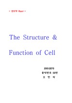 [생리학] 세포의 구조와 기능