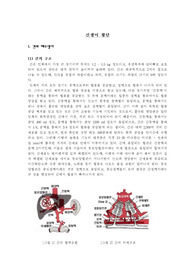 [간호학] 신생아황달
