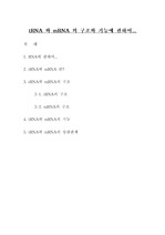[자연과학 유전학] tRNA, mRNA 의 구조와 기능
