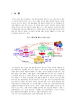 삼성몰중심의 유통산업의 전략집단군 분석