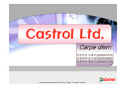 [국제경영]Castrol in Vietnam 사례분석