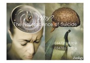 [신경학] 자살의 원인 (신경학적 분석)