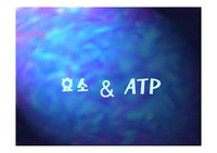 [일반생물학] 효소 & ATP의 특성