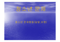 청소년문제