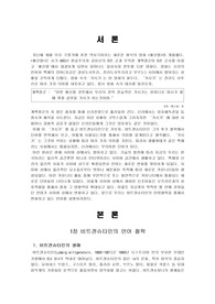 [언어철학] 비트겐슈타인과 사이버 언어