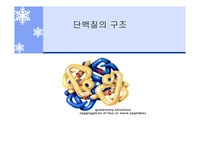 [단백질] 단백질의 구조