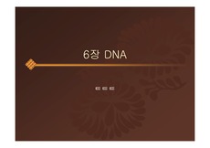 [세포생물학(DNA)] 제6장 DNA