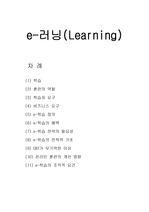 [경영정보론] e-러닝(Learning)