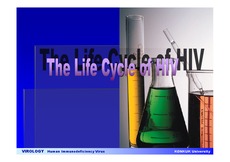[바이러스학] HIV의 life cycle