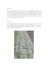 입구성