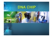 [생화학] DNA chip 파포+설명<한글>