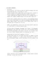 [시민사회] 시민사회 등장배경